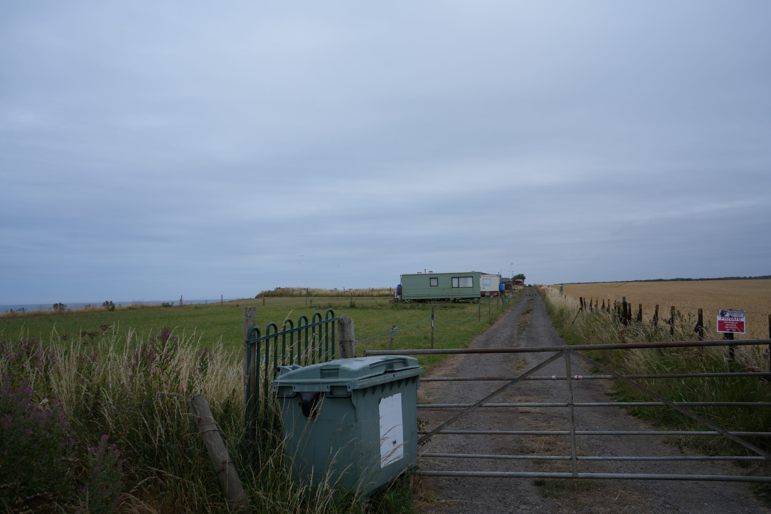DSC00184 DSC00184