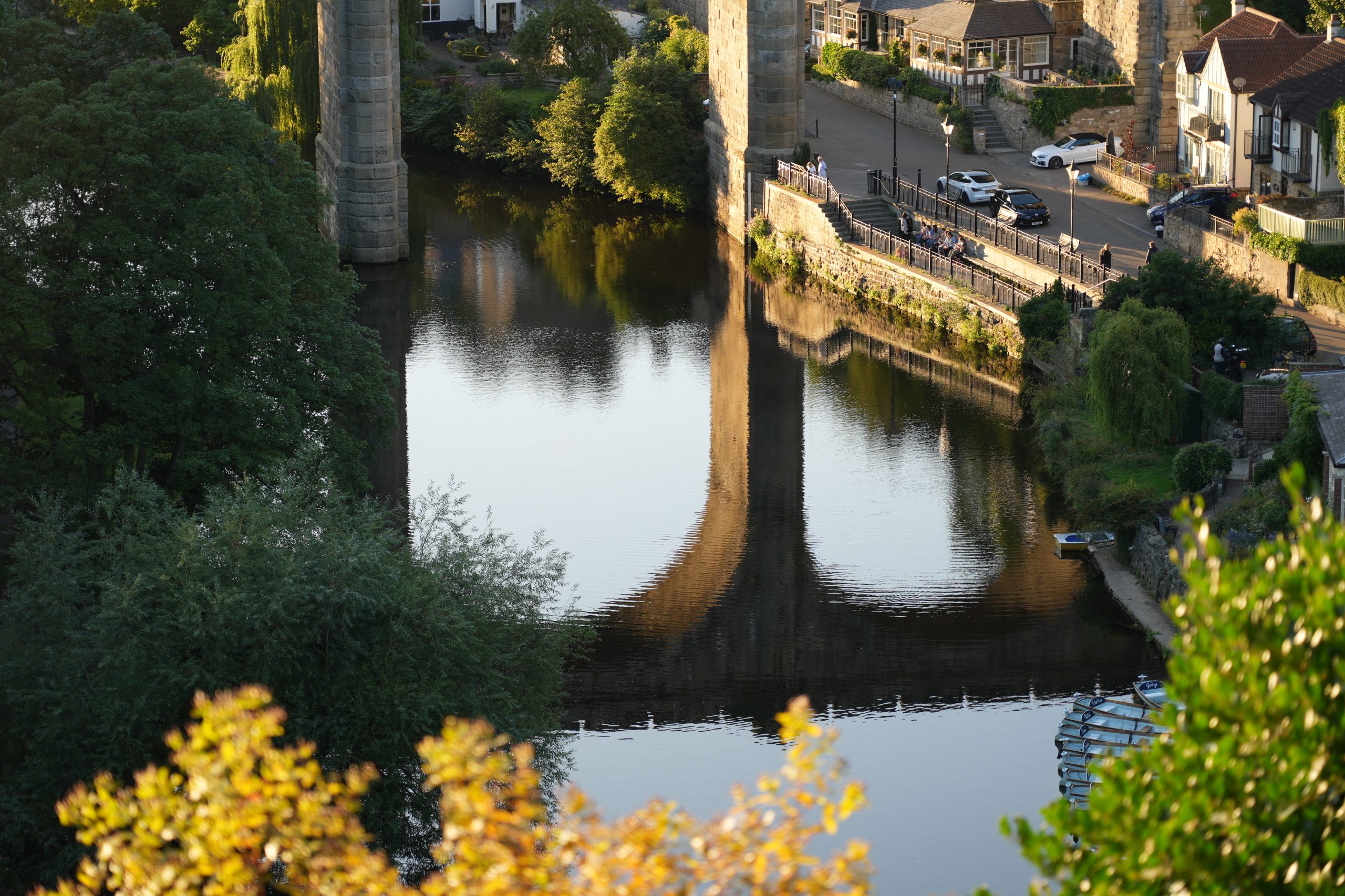 DSC00593 DSC00593
