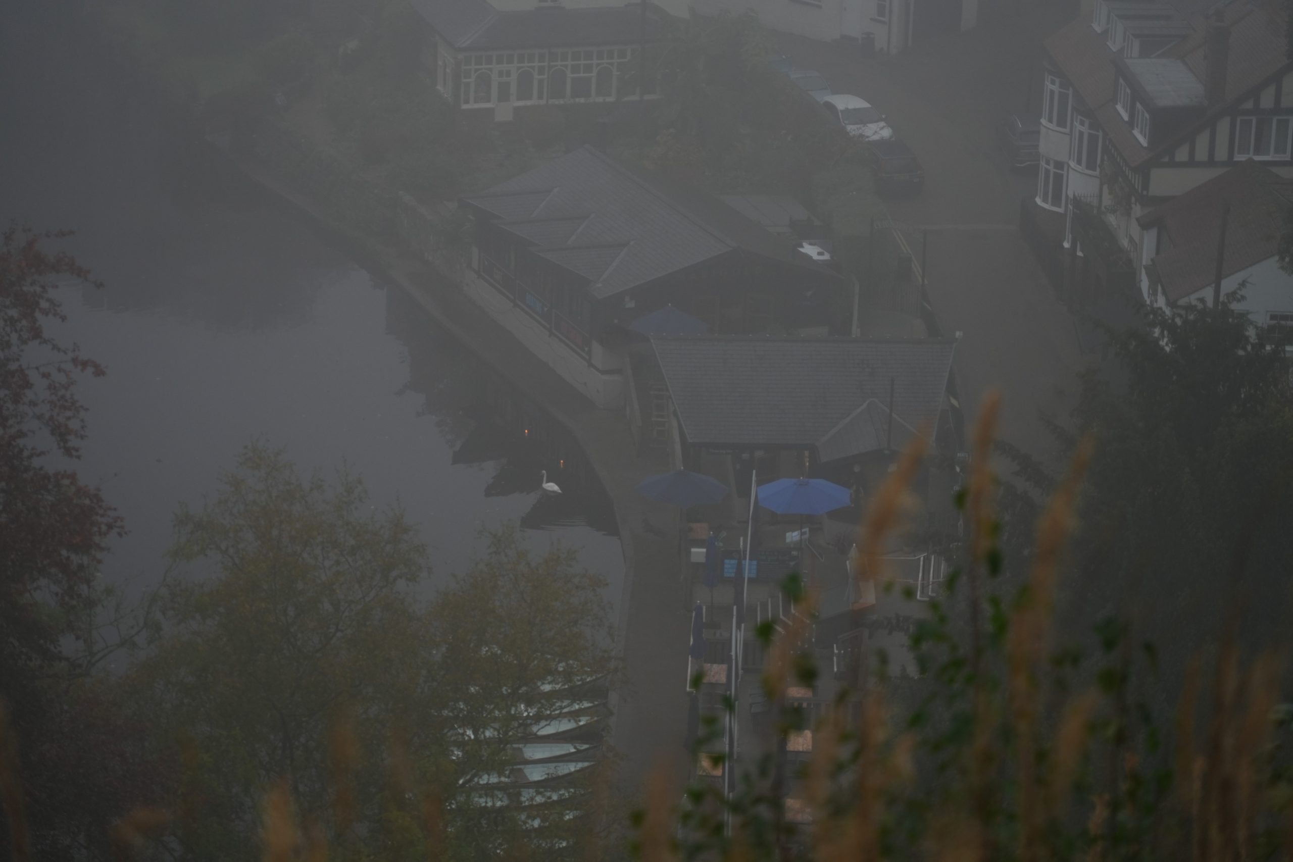DSC01540 DSC01540