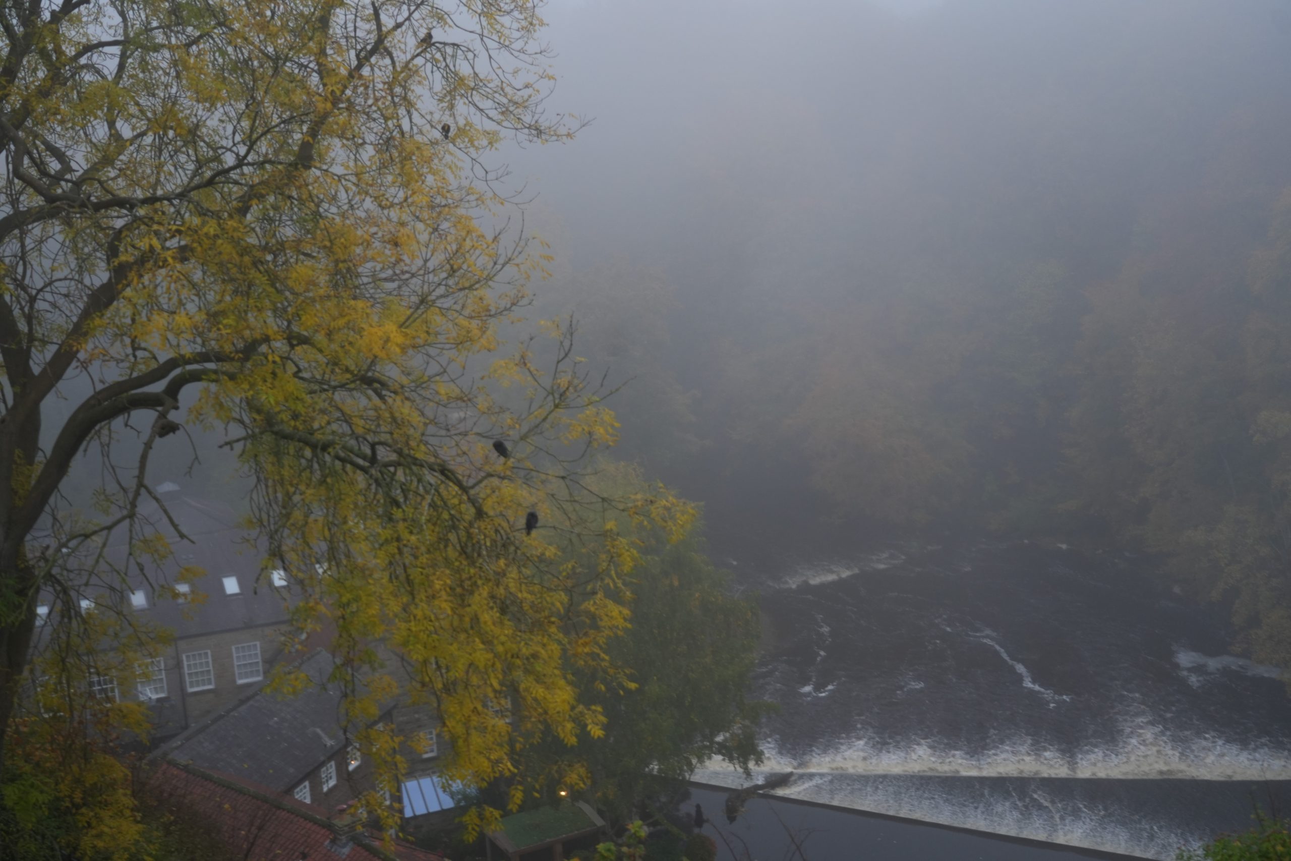 DSC01554 DSC01554