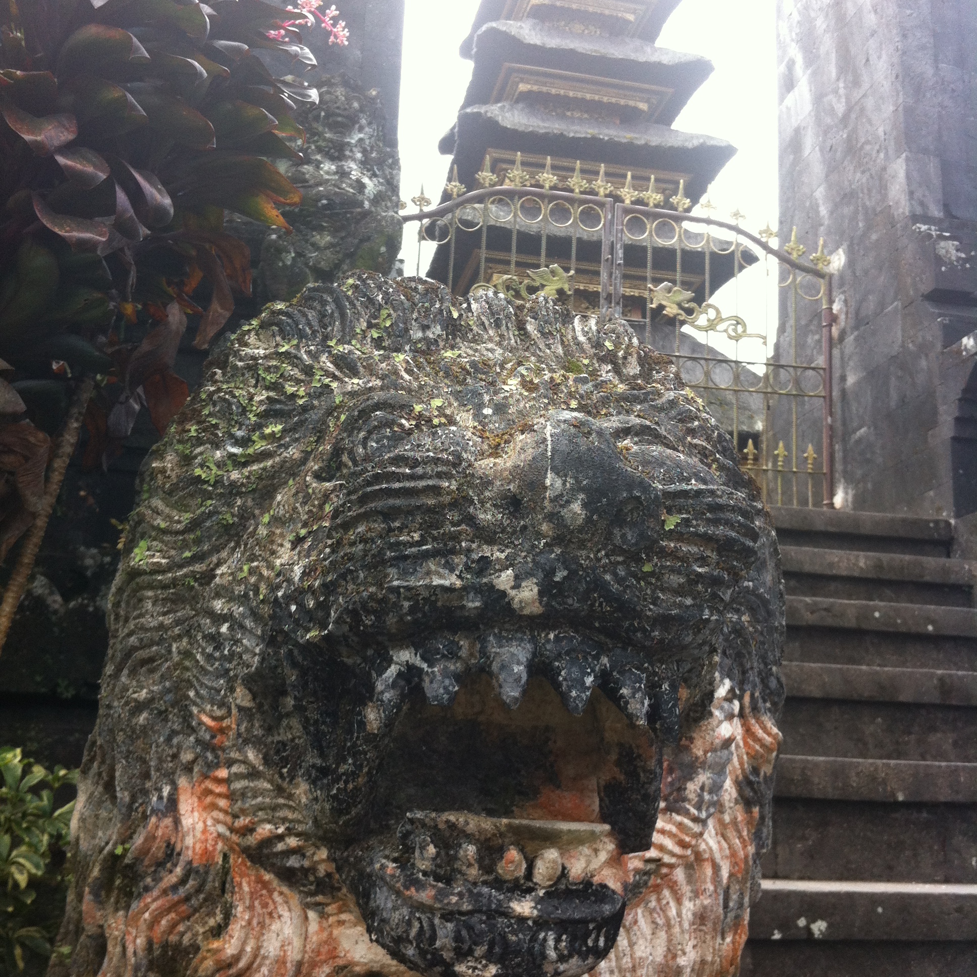 lion at mother temple