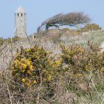 St. Catherine's Oratory