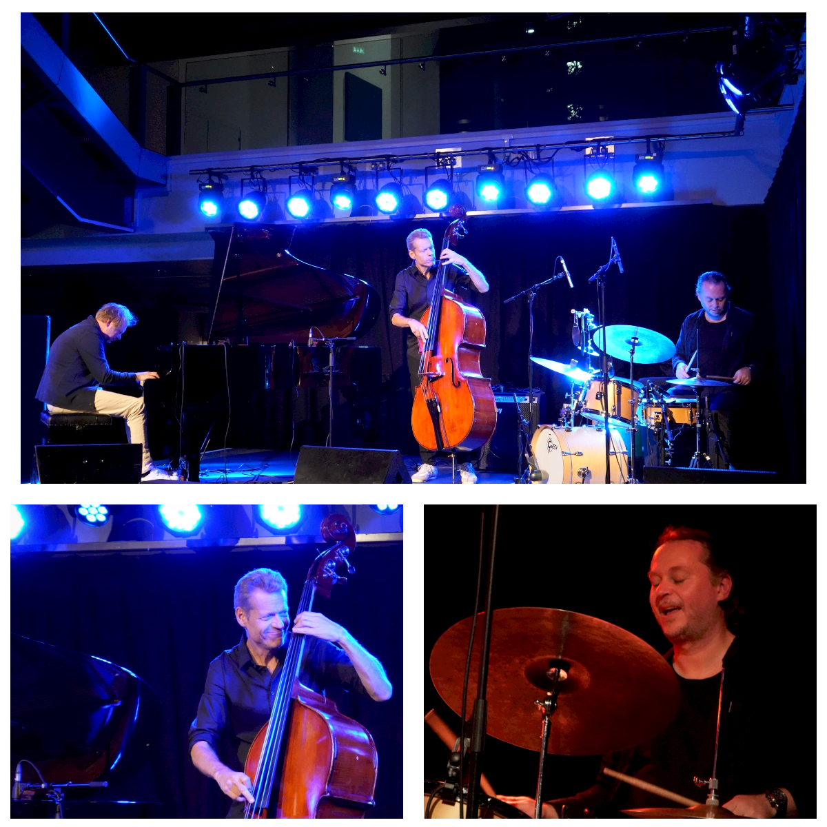 Daniel Karlsson Trio(Sony A7 IV)