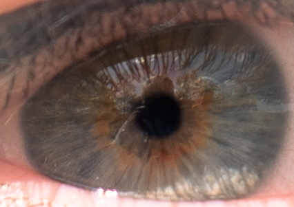 Eye cropped 3 (1 of 1)