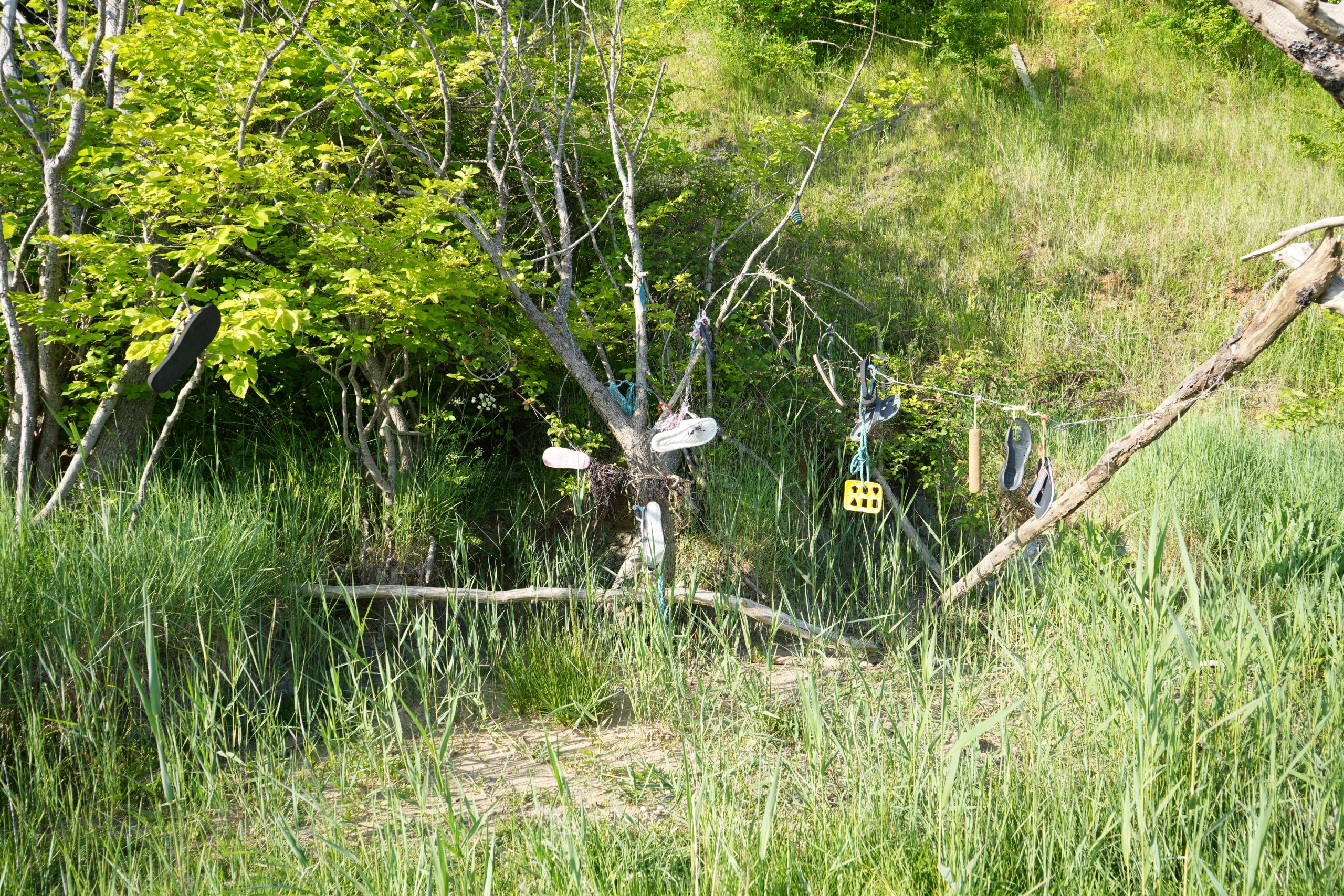 DSC02635 DSC02635